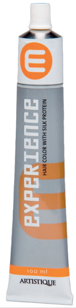 Artistique Experience Primer