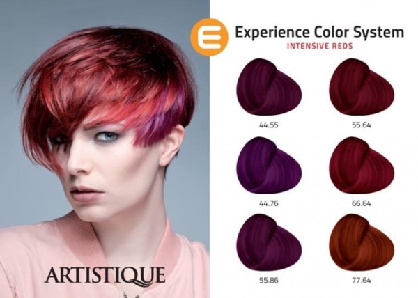 Artistique Experience Farbkarte gedr.Int. Reds