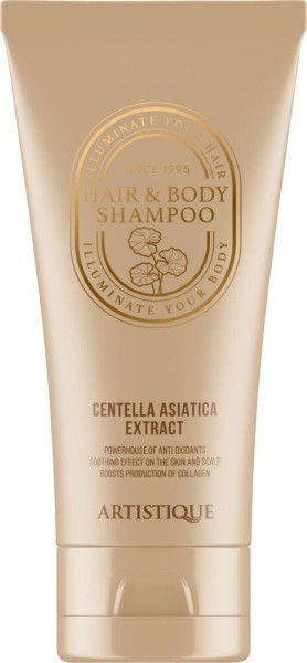 Artistique H&B Shampoo champagner