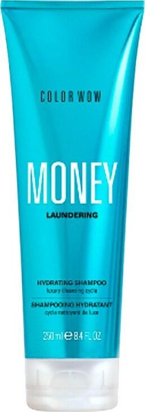 Color Wow Money Laundering Shampoo