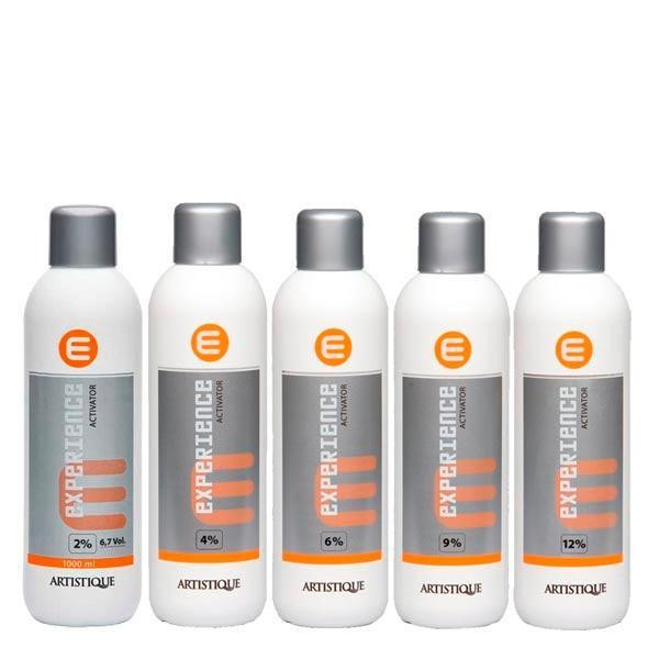 Artistique Experience Activator 9%