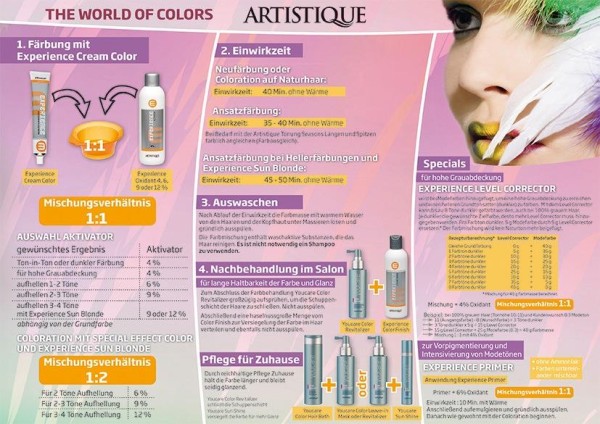 Artistique Experience Mixeckenplakat