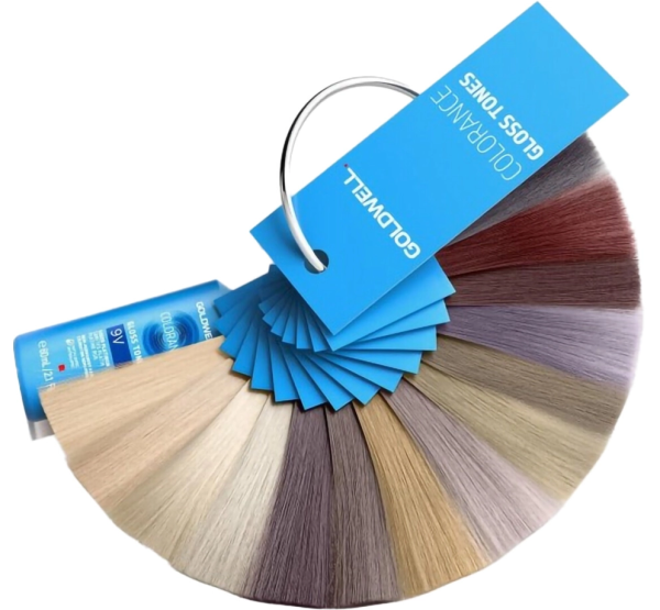 Colorance Gloss Tones Swatchring mit Meschen