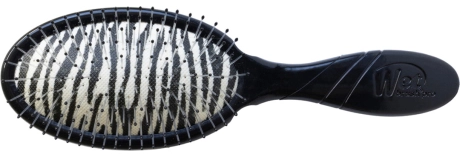 Wet Brush Patterned Poised zebra