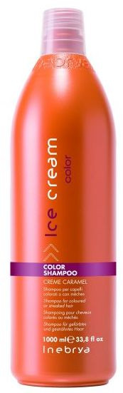 Inebrya Ice Color Shampoo