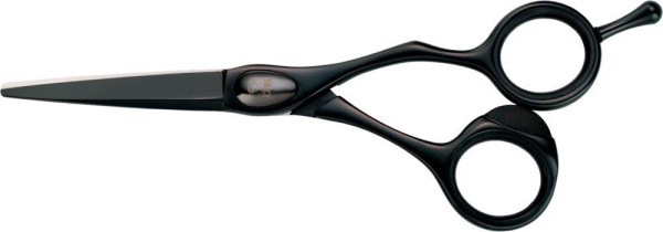 Joewell Schere FX Pro black 5.5os