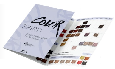 Dusy Color Spirit Farbkarte gedruckt