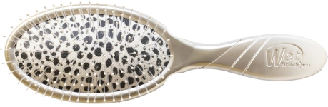 Wet Brush Patterned Poised cheetah