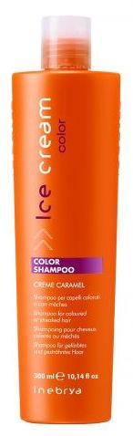 Inebrya Ice Color Shampoo