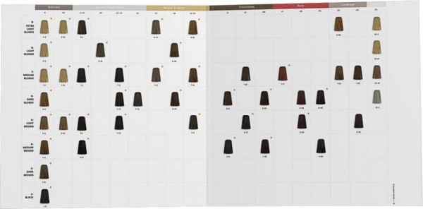 Farbkarte Topchic Zero gedruckte